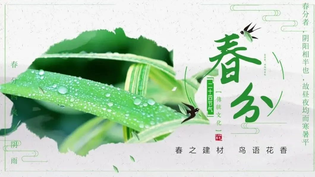 今日春分 | 春之建材，莺啼燕语